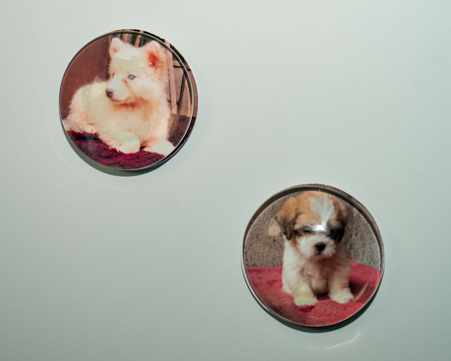 50mm (cabochon)  Magnetic Glass Picture