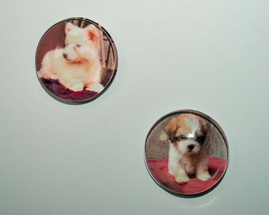 50mm (cabochon)  Magnetic Glass Picture