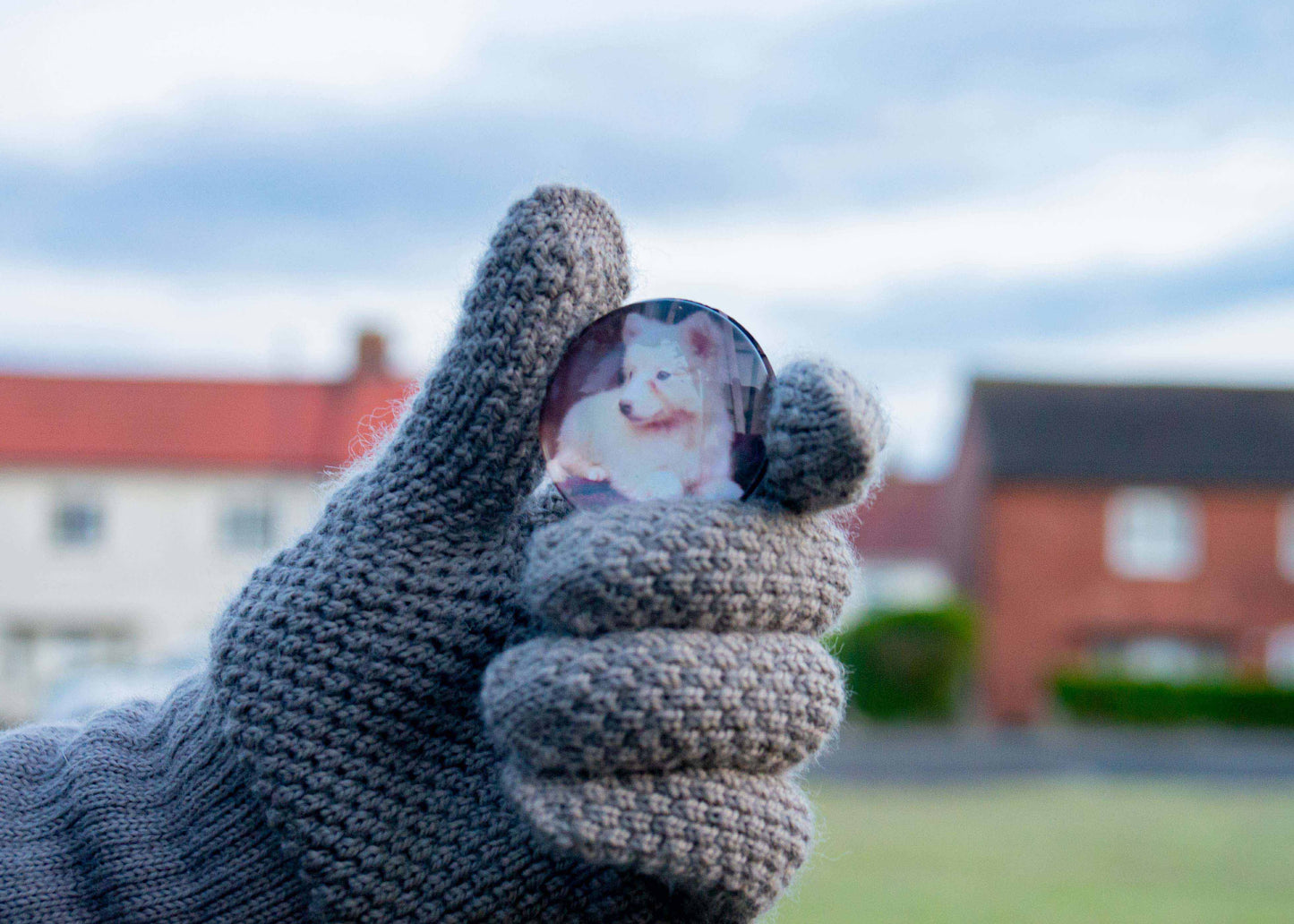 50mm (cabochon)  Magnetic Glass Picture