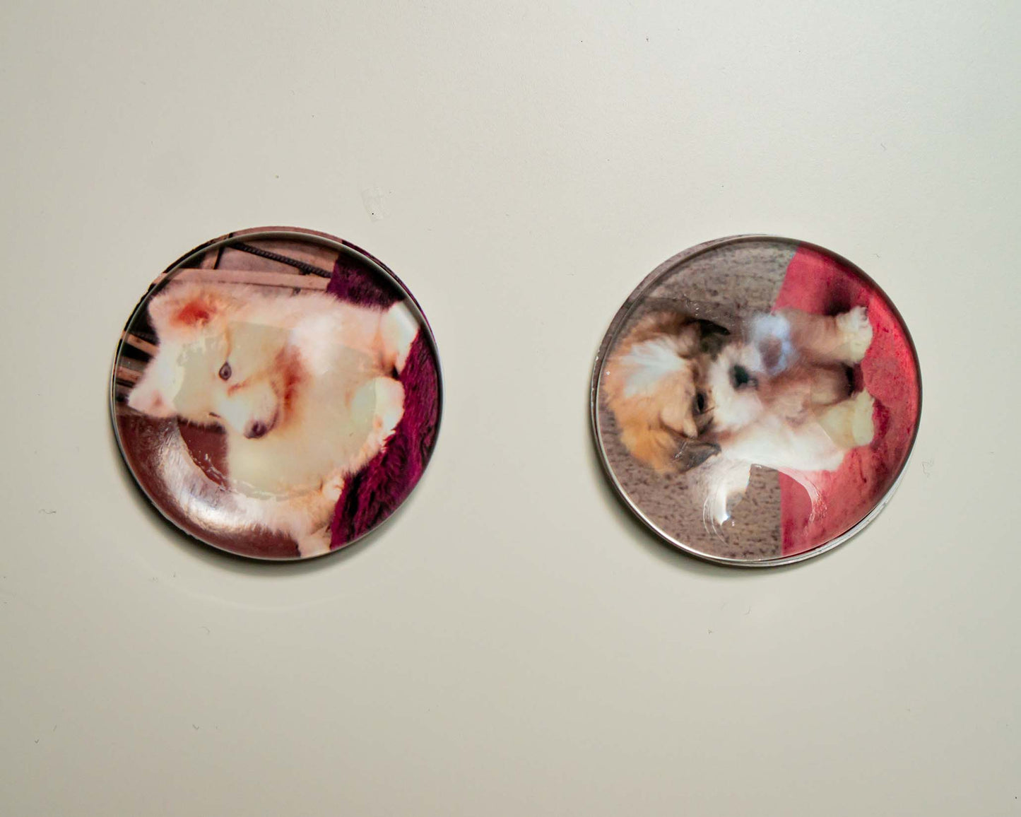 50mm (cabochon)  Magnetic Glass Picture