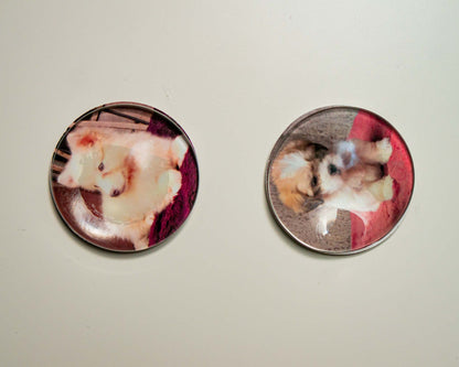 50mm (cabochon)  Magnetic Glass Picture