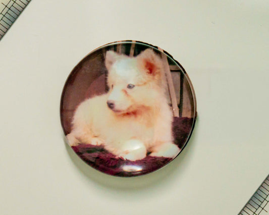 50mm (cabochon)  Magnetic Glass Picture